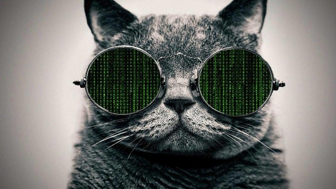 Go 语言的使用感受是什么？